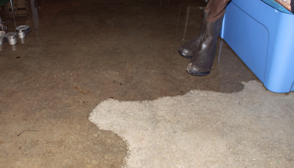How to Clean Your Basement Cement Floor Like a Pro
